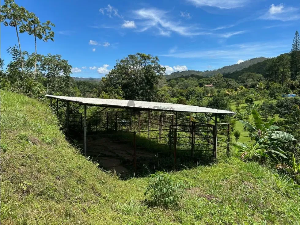 En venta Casa Campestre con Terreno en Bejuma Proyecto de Posada - 4