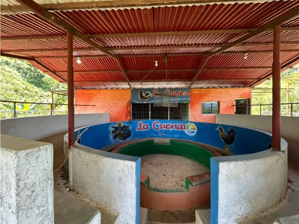 En venta Casa Campestre con Terreno en Bejuma Proyecto de Posada - 6