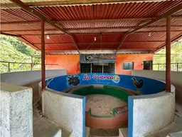 Vista 6