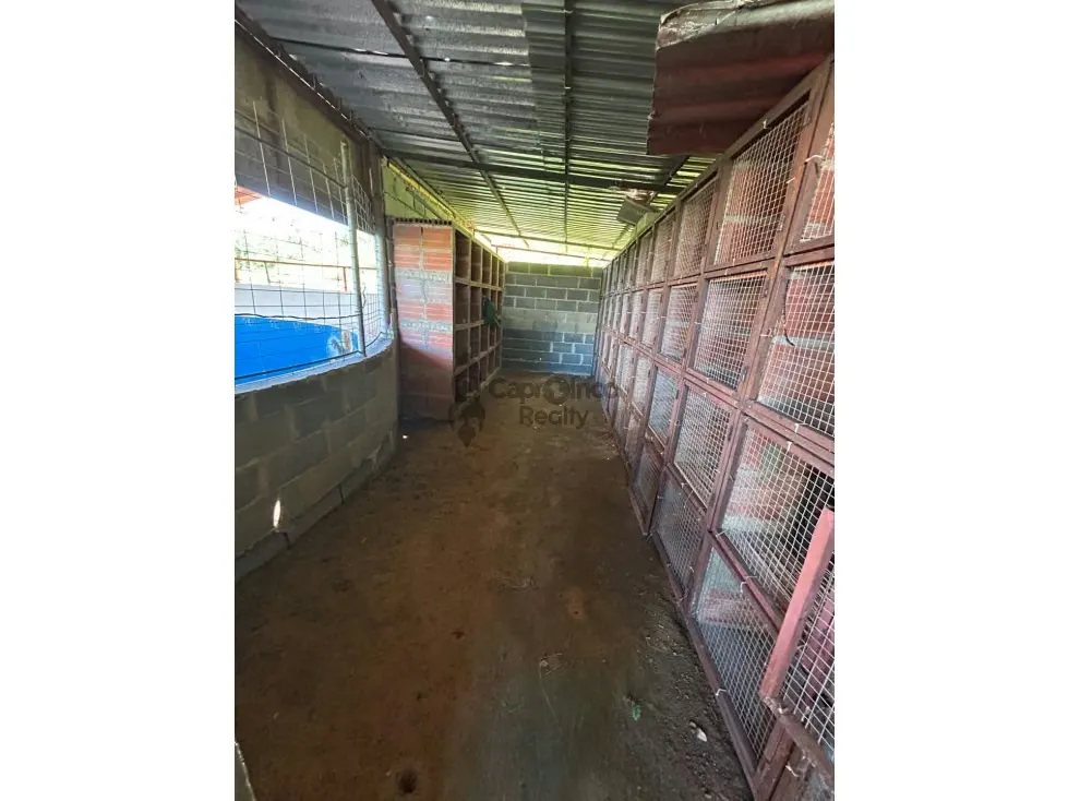 En venta Casa Campestre con Terreno en Bejuma Proyecto de Posada - 7
