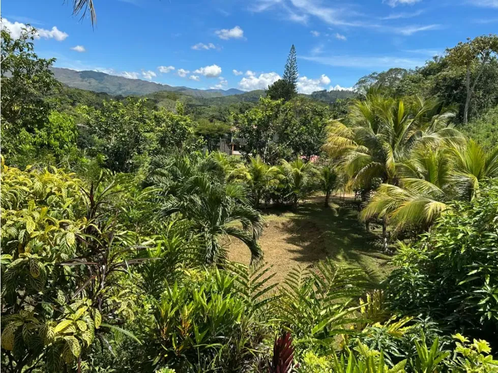 En venta Casa Campestre con Terreno en Bejuma Proyecto de Posada - 8