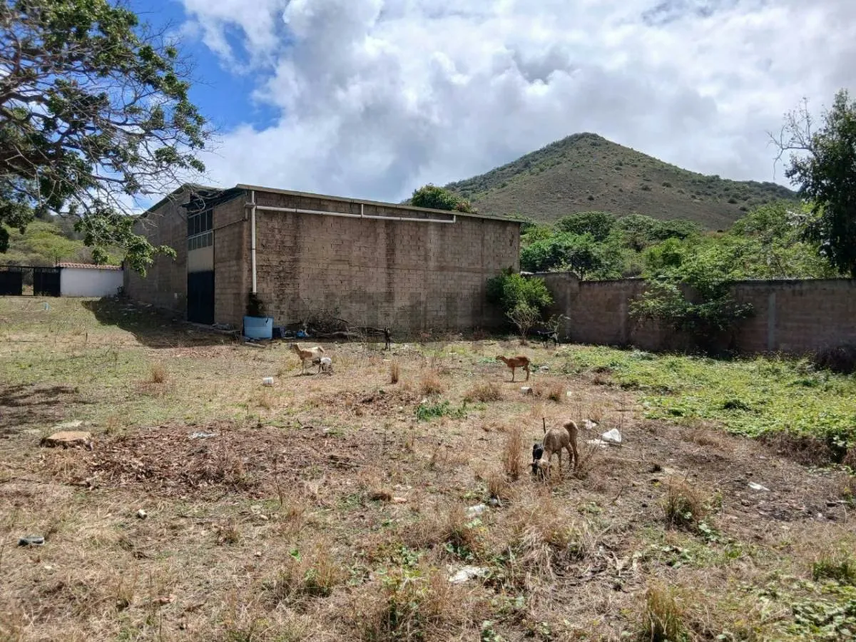 Galpones Industriales en Santa Ana, Isla de Margarita - 18