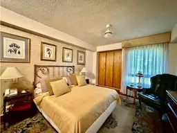 Vista 17
