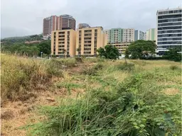 Vista 16