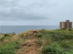 Vista 17