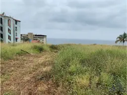 Vista 19