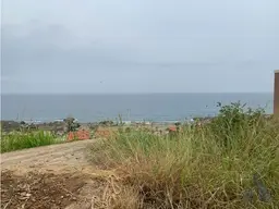 Vista 5