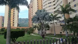 View 19