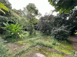 View 1
