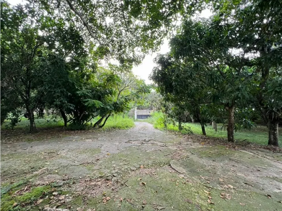 Se vende terreno 6570m² Los Chorros - 4