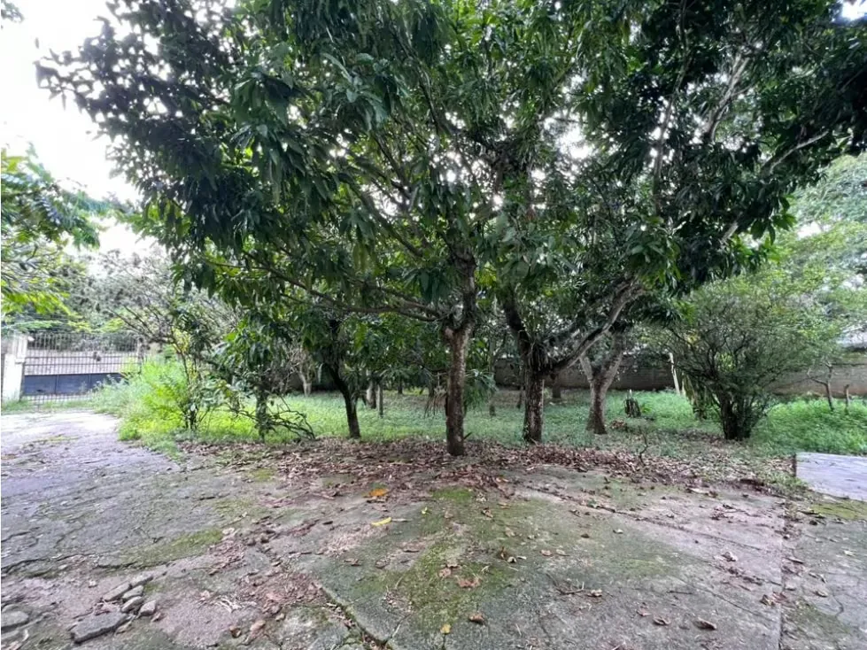 Se vende terreno 6570m² Los Chorros - 5