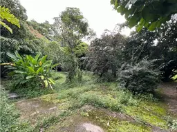 View 6