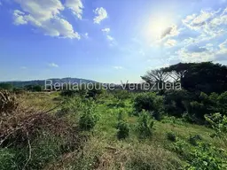 Vista 12