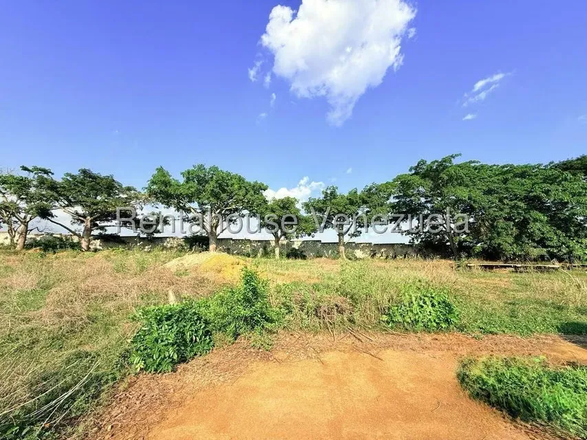 Terreno (Comercial) en Venta en Municipio Peña, Yaracuy - 13