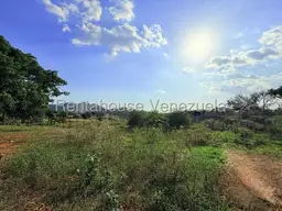 Vista 16