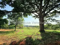Vista 17