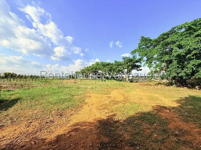 Terreno (Comercial) en Venta en Municipio Peña, Yaracuy - 22