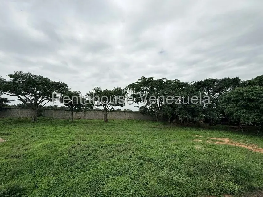 Terreno (Comercial) en Venta en Municipio Peña, Yaracuy - 26