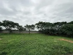 Vista 26
