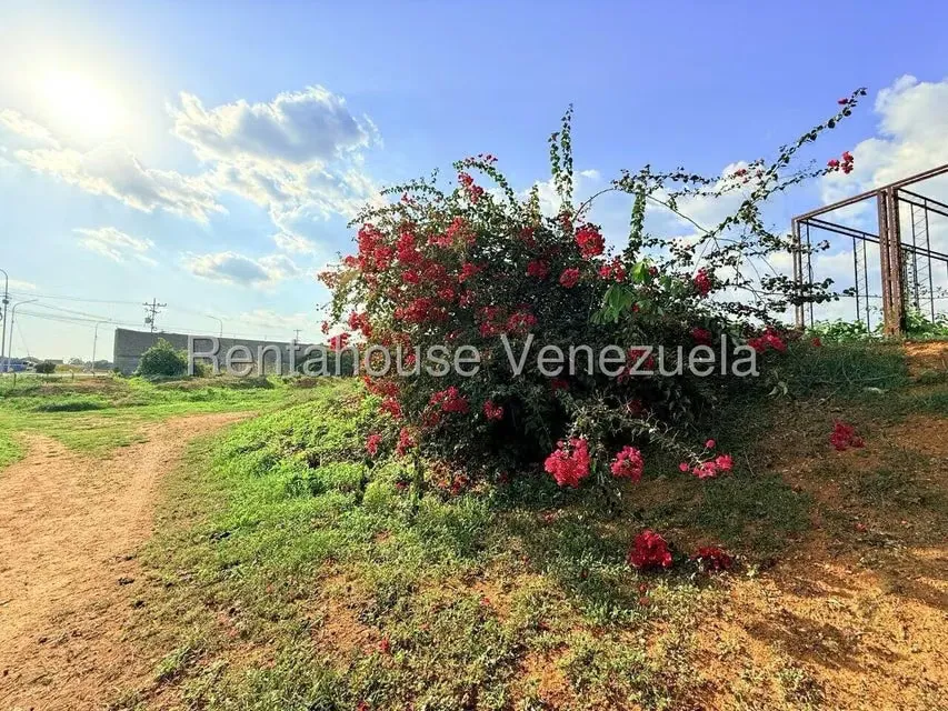 Terreno (Comercial) en Venta en Municipio Peña, Yaracuy - 6