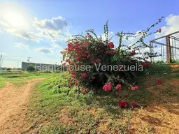 Vista 6