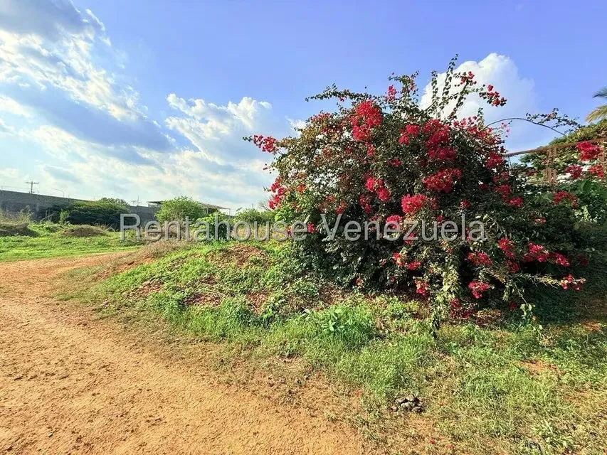 Terreno (Comercial) en Venta en Municipio Peña, Yaracuy - 7
