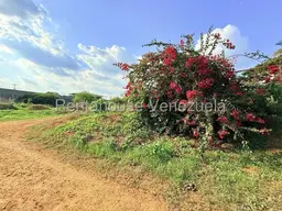 Vista 7
