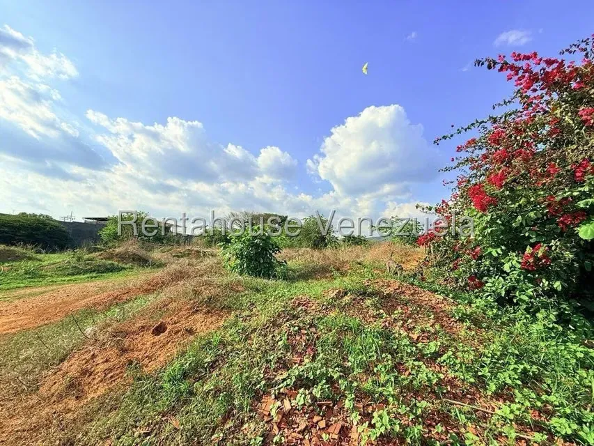 Terreno (Comercial) en Venta en Municipio Peña, Yaracuy - 9