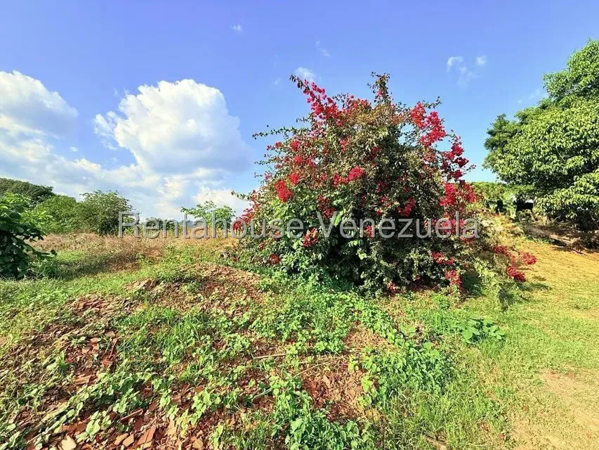 Terreno (Comercial) en Venta en Municipio Peña, Yaracuy - 10