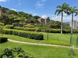 Vista 16