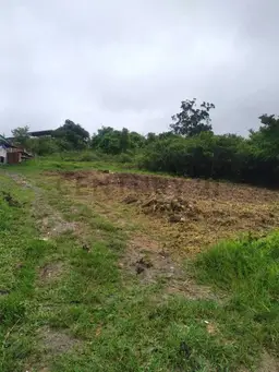 View 3