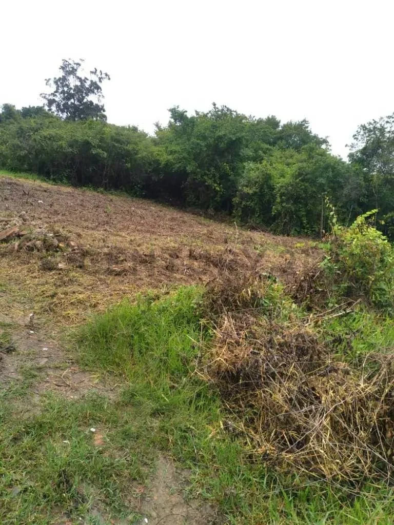 En venta Terreno - 4