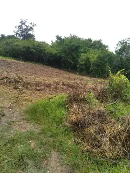 View 4