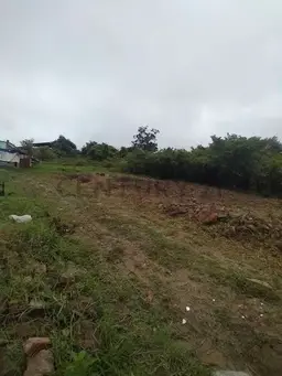 View 5