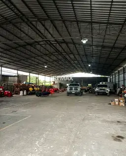 Vista 5