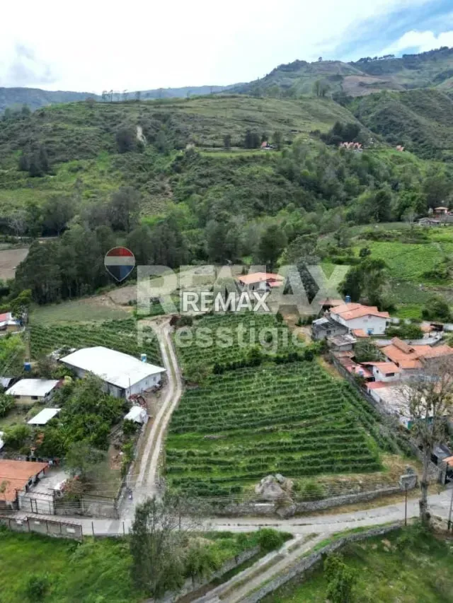 Casa con Finca en Venta - 17