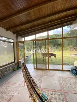 Vista 6