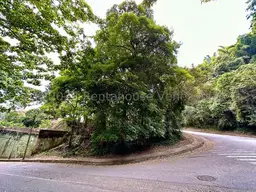 View 1