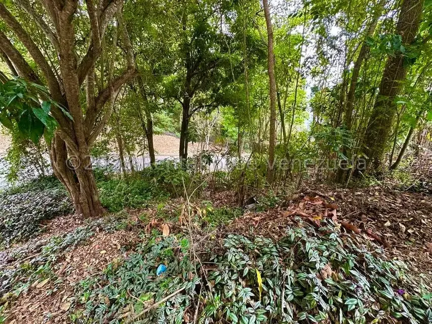 Terreno (Residencial) en Venta en Miranda, Distrito Metropolitano - 5
