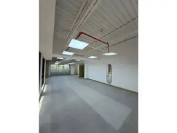 Vista 11
