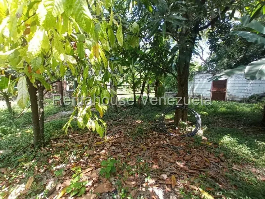 Casa (1 Nivel) en Venta en La Castellana, Carabobo - 33