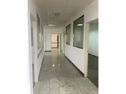 Vista 6