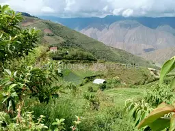 Vista 2