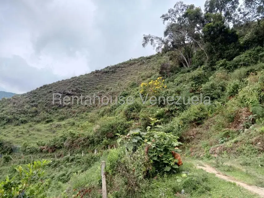 Terreno (Comercial) en Venta en Loma del Medio, Trujillo - 6