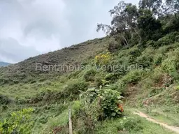 Vista 6