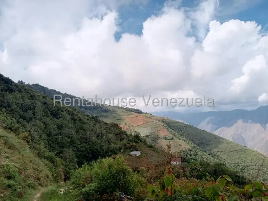 Terreno (Comercial) en Venta en Loma del Medio, Trujillo - 7