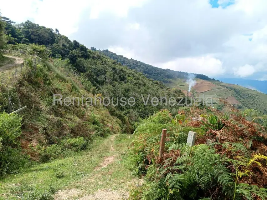 Terreno (Comercial) en Venta en Loma del Medio, Trujillo - 10