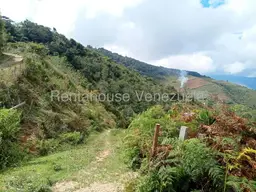 Vista 10