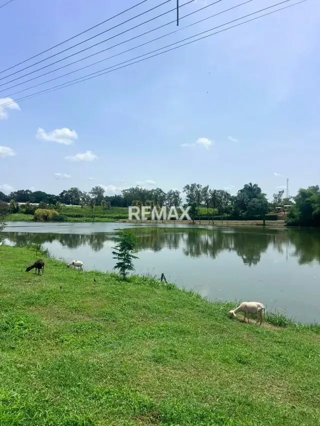 TERRENO EN VENTA EN VILLA LOS AGUACATES SECTOR BARRERA - 9