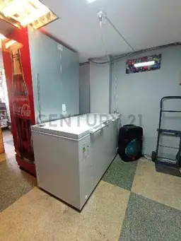 Vista 11